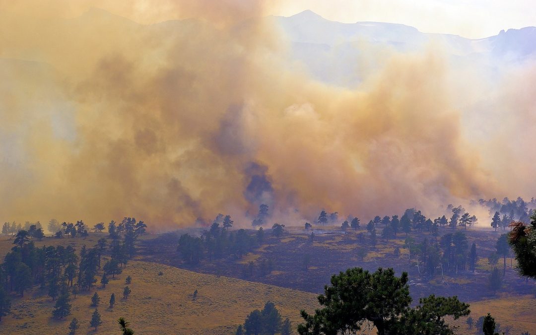 Pemadaman Kilat di Terminal